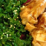 Juicy Ginger Teriyaki Steamed Salmon Recipe, 21 grams protein, 151 calories - Pictured with Kale Salad